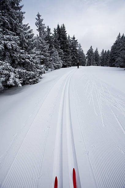 istock Ski runner on a beautiful winter day....Rogla,Slovenia 135153580