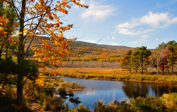 istock Mount Desert Island, Maine 1351536823