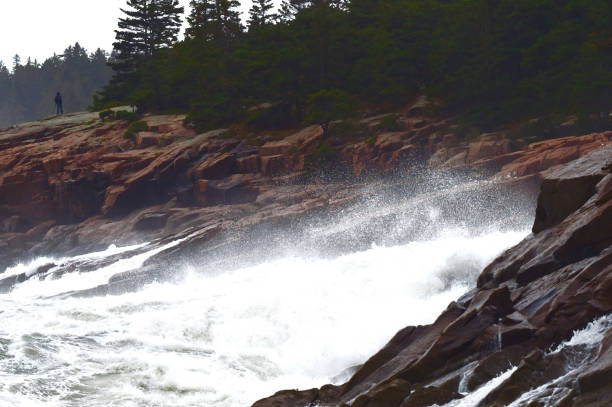 istock Mount Desert Island, Maine 1351536876
