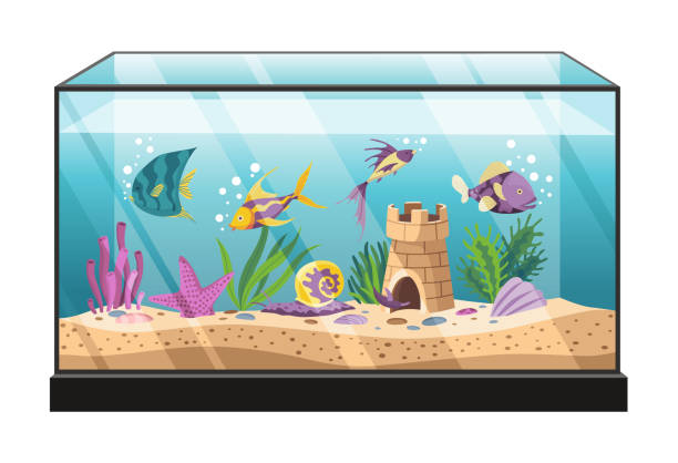 Aquarium with colourful fish and algae. Underwater life wtith decorative accessories and deferent fishes in flat style. Decoration of home interior. Beautiful glass aquarium with shells, sand bubbles Aquarium with colourful fish and algae. Underwater life wtith decorative accessories and deferent fishes in flat style. Decoration of home interior. Beautiful glass aquarium with shells, sand bubbles. sea monkey tank stock illustrations