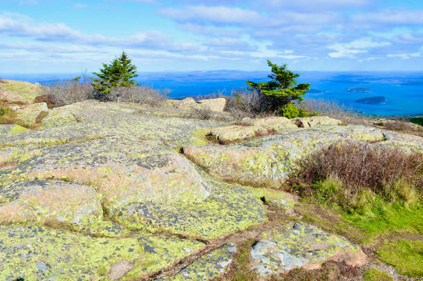 istock Cadillac Mountain, Maine 1351539223