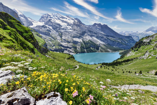 Lake Oeschinensee in Switzerland Beautiful view on the Oeschinensee in Switzerland on a sunny summer day with a lot of mountain flowers in front lake oeschinensee stock pictures, royalty-free photos & images