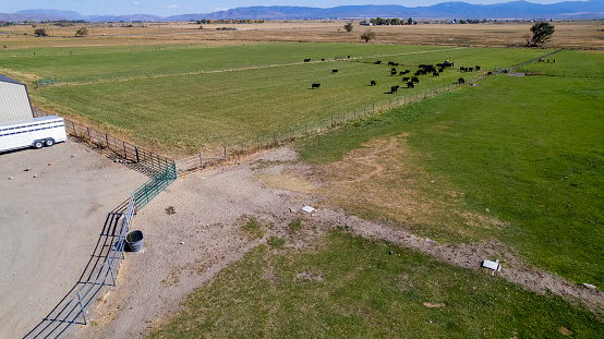 High quality stock photos of a small business owner, cattle rancher dealing with drought issues on his largely creek irrigated ranch at the base of the Sierra Nevada mountains.