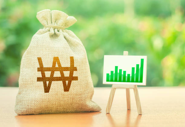 istock South korean won money bag and easel with green positive growth graph. Economic development. Deposits profitability. Recovery and growth economy, good investment attractiveness. 1351541993