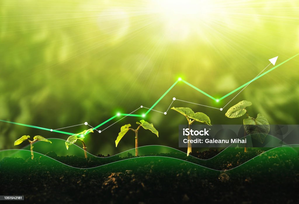 Seedling are growing from the rich soil. Concept of business growth, profit, development and success. Seedling are growing from the rich soil. Concept of business growth, profit, development and success Agriculture Stock Photo
