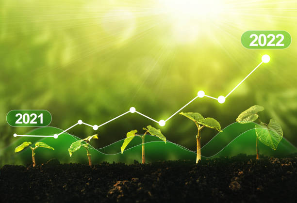 istock New year 2022 development to success, strategy, plan, goals and vision. Seedling are growing from soil with growth comparative year 2021 to 2022.Business growth, profit development and success graph. 1351543421