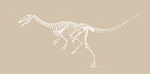 istock Dinosaur skeleton from the Cretaceous period 1351549247