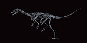 istock Dinosaur skeleton from the Cretaceous period 1351549254