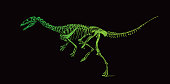 istock Dinosaur skeleton from the Cretaceous period 1351549261