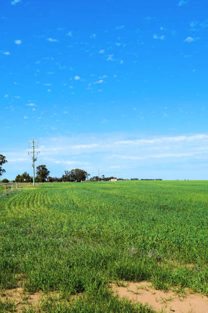istock Hopetoun, Victoria Australia 1351549999