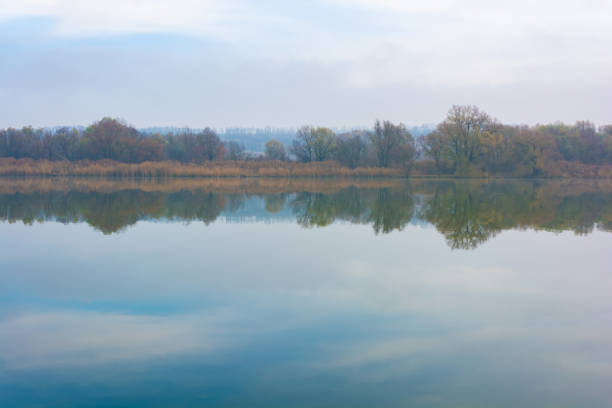 zimna mglista rzeka rano z zarośniętymi brzegami i chmurami w wodzie. - sunrise city of sunrise water above zdjęcia i obrazy z banku zdjęć