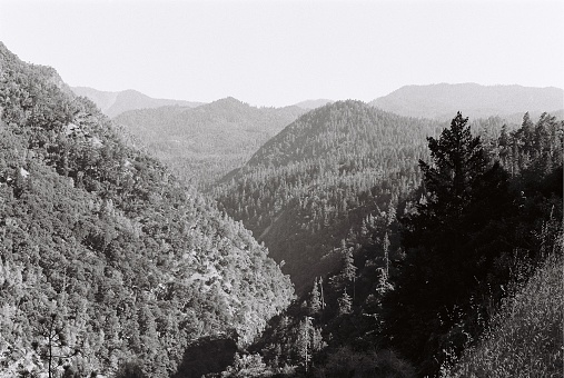 B&W 35mm photo of mountains in Humboldt, CA