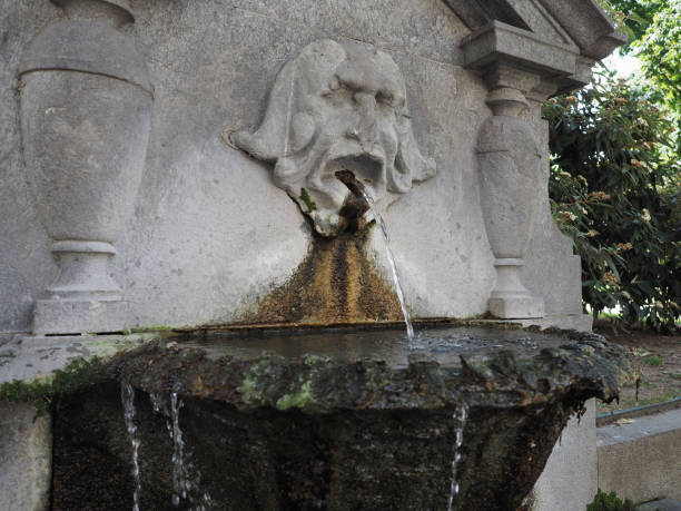 istock Fountain of masks in Turin 1351553932