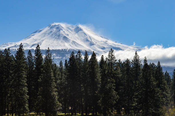 blustery winds na mt. shasta - blustery zdjęcia i obrazy z banku zdjęć