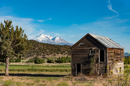 Mt. Shasta and abandoned cabin, taken from Little Shasta Valley, California
