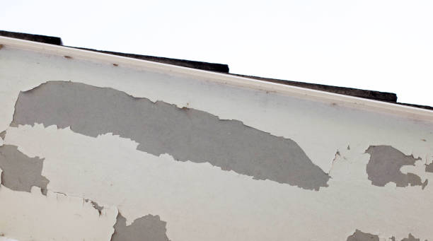 istock White color paint peeling off on ceiling house. Under the roof 1351555156