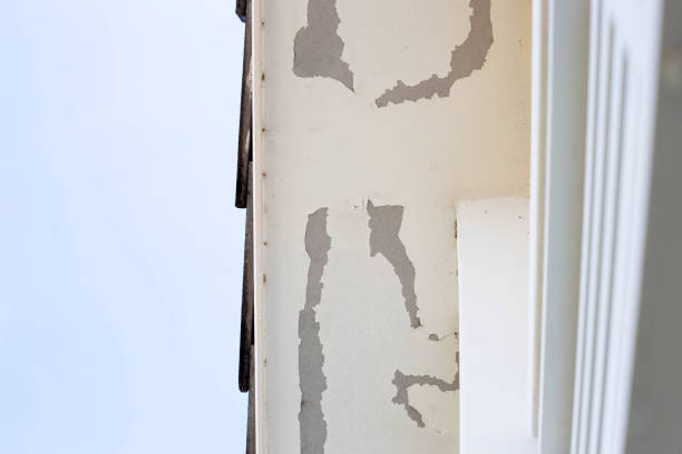 istock White color paint peeling off on ceiling house. Under the roof 1351555165