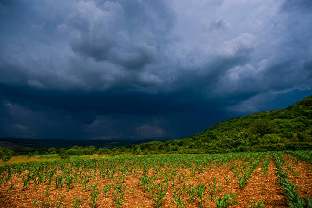 Stara Planina or Old mountain, beautiful cloudy landscape in Serbia