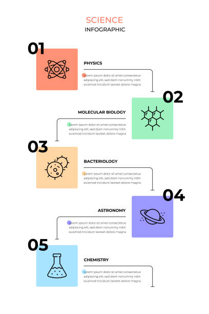 Science Science Infographic Template. Five steps Timeline Infographic Design. science research stock illustrations