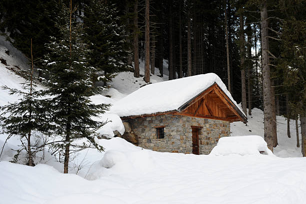 istock winter in Trentino 135156138