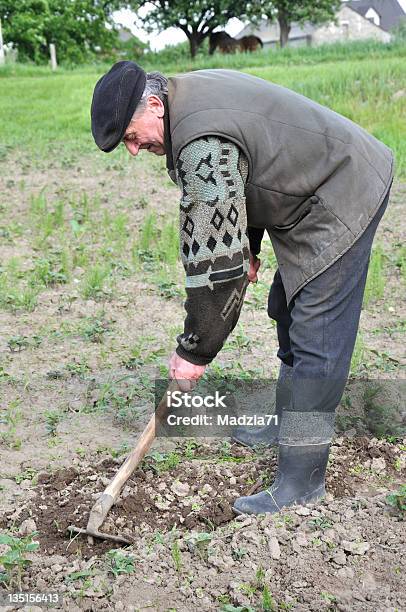 Farmer Stockfoto und mehr Bilder von Agrarbetrieb - Agrarbetrieb, Aktiver Lebensstil, Aktiver Senior