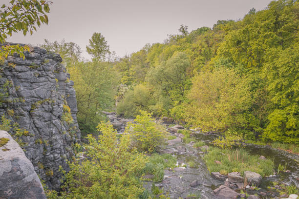 istock Canyon wall on a background of lush spring greenery 1351564954