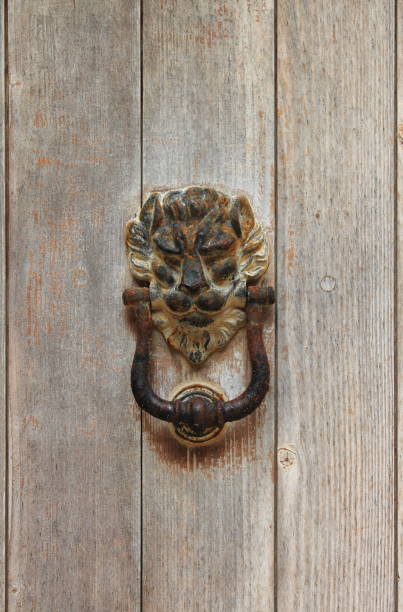 istock Bronze lion head knocker on a wooden door 1351569096