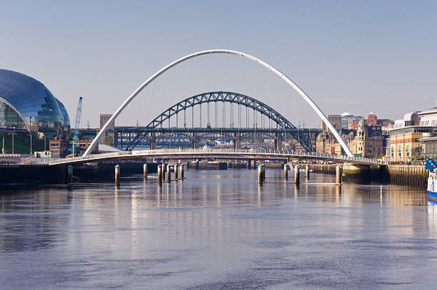 istock Arch's of the Tyne bridges 135157365