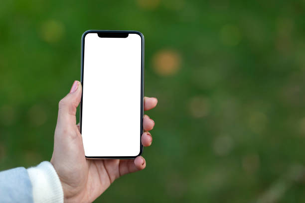 istock Woman Holding Mobile Phone 1351574029