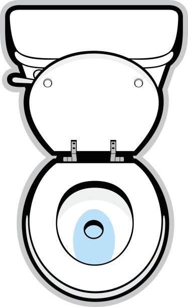 Vector illustration of top view of a toilet vector art illustration
