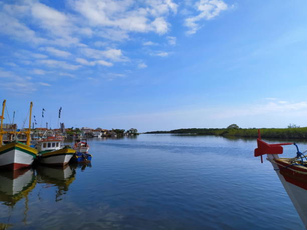 istock Santa Catarina coastline landscape 1351580370