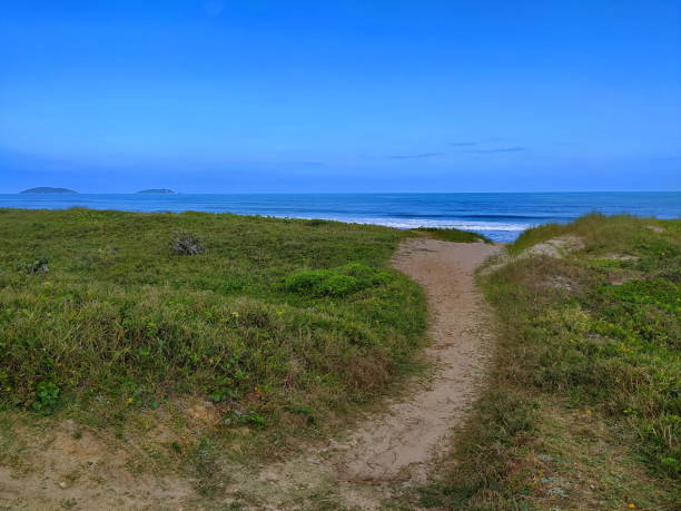 istock Santa Catarina coastline landscape 1351584732