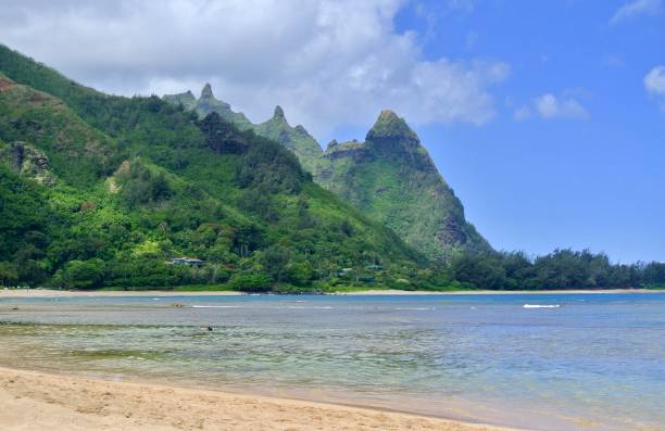 istock Tunnels Beach in Kauai 1351585386