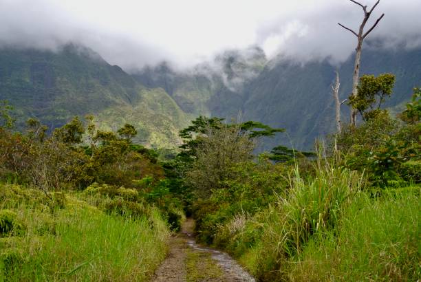istock Lush Mountains in Kauai 1351585393