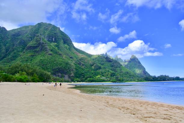 istock Tunnels Beach in Kauai 1351585397