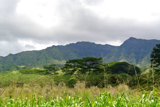 istock Mountains in Kauai 1351585405