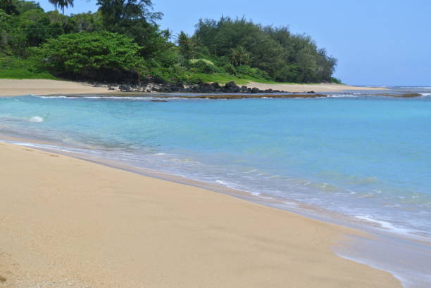 istock Tunnels Beach in Kauai 1351585424
