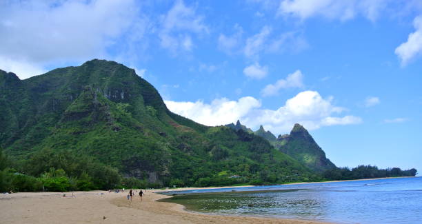 istock Tunnels Beach in Kauai 1351585430