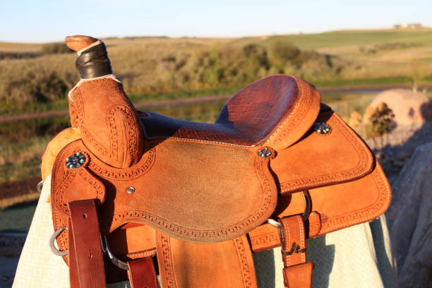 istock Side view of Western Saddle on stand 1351589974