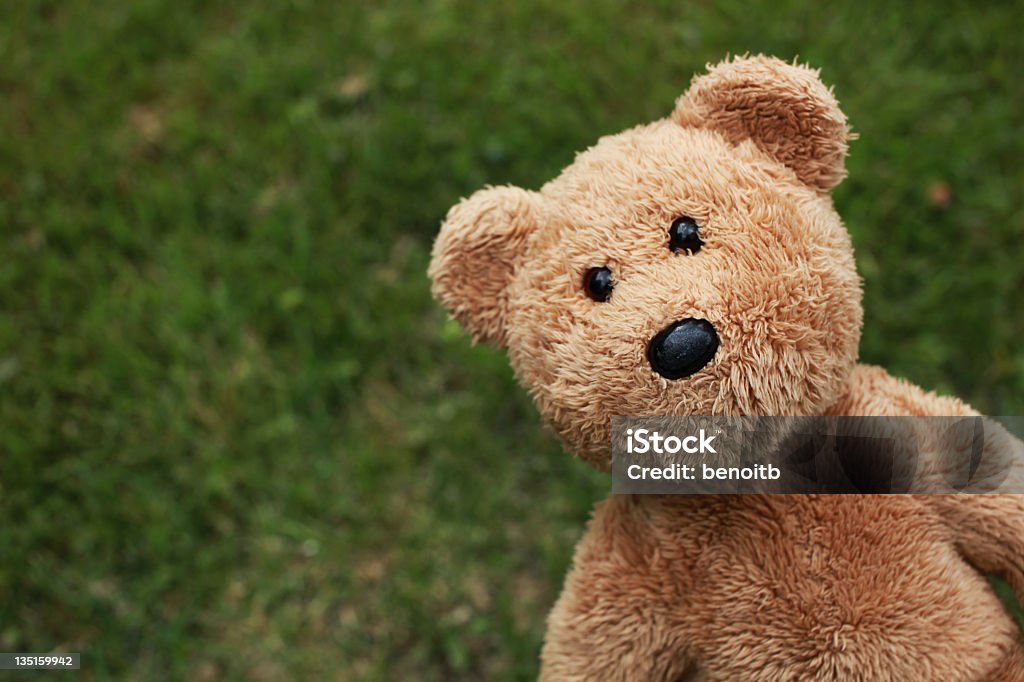 Booo!!! - Lizenzfrei Teddybär Stock-Foto