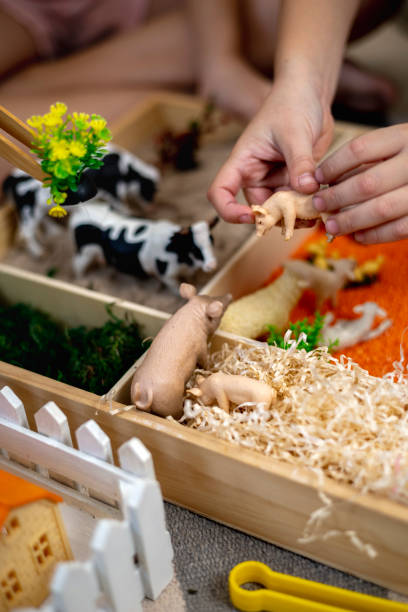 istock Touch drawer with rainbow rice inside. Children hand touch the texture. Montessori material concept for toddlers. 1351603695