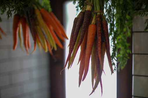 Organic carrots hanging in a pantry