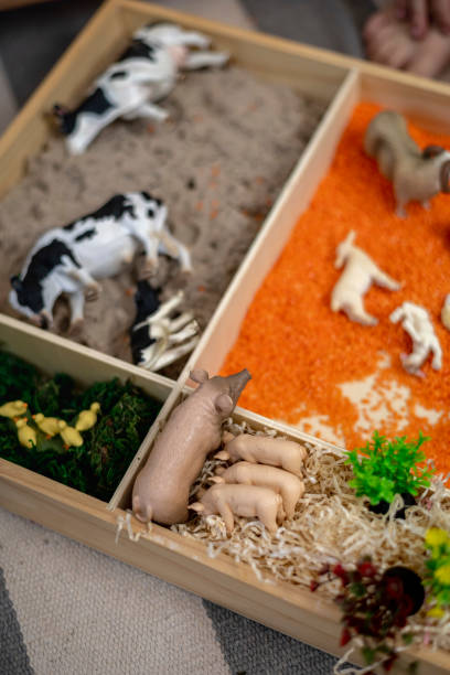 istock Touch drawer with rainbow rice inside. Children hand touch the texture. Montessori material concept for toddlers. 1351606835