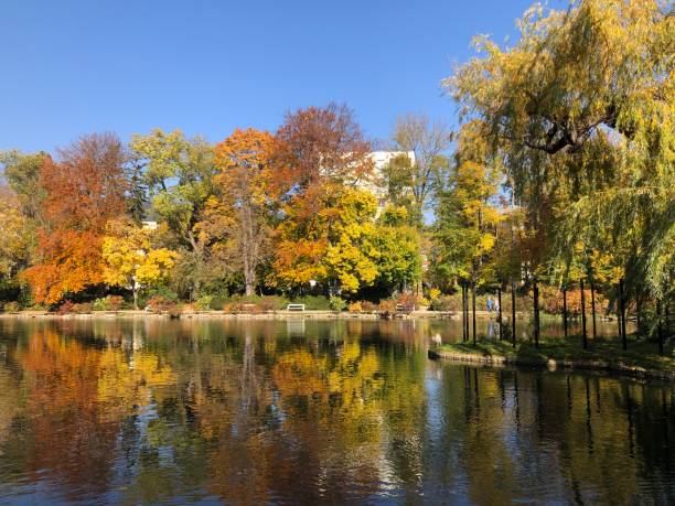 istock Beautiful color change at Doblhoff Park in Baden, Lower Austria 1351607516