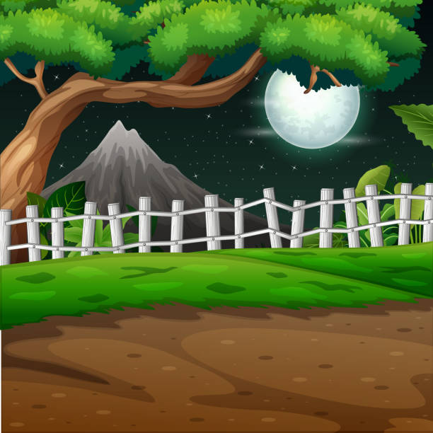 ilustrações de stock, clip art, desenhos animados e ícones de natural environment scenes landscape at night illustration - rainforest tropical rainforest forest moonlight