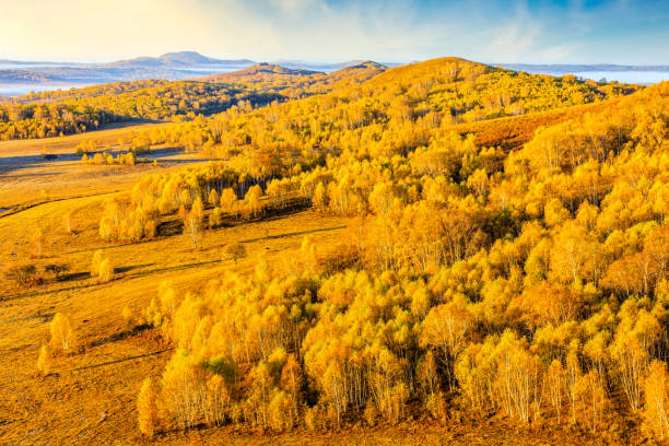 秋のカラフルな森と山の自然景観 - inner mongolia ストックフォトと画像