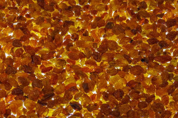 full frame background of yellow and brown raisins pile backlit from below.