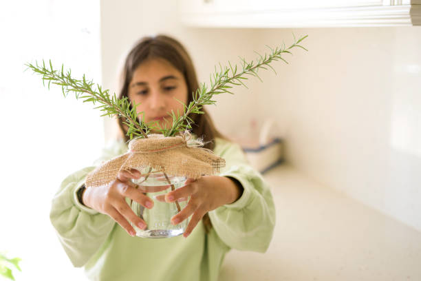 istock Beautiful girl sprouting rosemary again in jar 1351633265