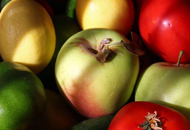 Beautiful and ripe apples are neatly placed in the basket