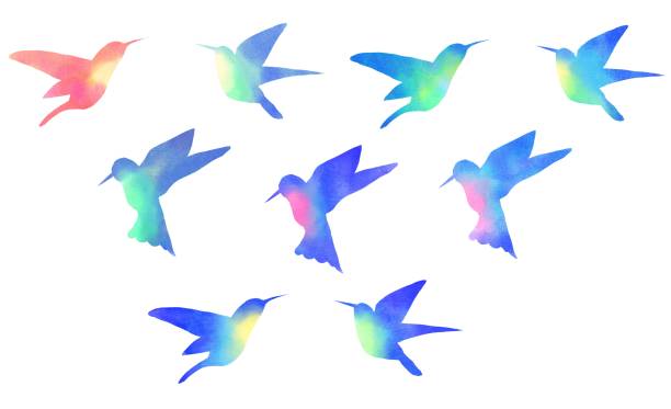 illustrations, cliparts, dessins animés et icônes de oiseaux colorés peints à l’aquarelle. - battre des ailes